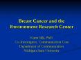 Breast Cancer and the Environment Research Center Kami Silk, PhD Co-Investigator, Communication Core Department of Communication Michigan State University PowerPoint PPT Presentation