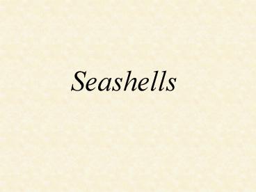Seashells