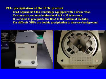 PEG precipitation of the PCR product
