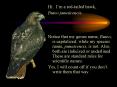 Hi' Im a redtailed hawk, PowerPoint PPT Presentation