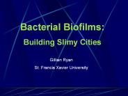 Bacterial%20Biofilms: