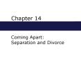 Coming Apart: Separation and Divorce PowerPoint PPT Presentation