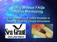 Zebra Mussel FAQs About Monitoring Early Detection of Zebra Mussels in Inland Waters by Citizen Volu PowerPoint PPT Presentation