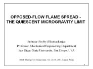 OPPOSED-FLOW FLAME SPREAD - THE QUIESCENT MICROGRAVITY LIMIT