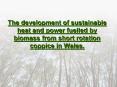 The development of sustainable heat and power fuelled by biomass from short rotation coppice in Wale PowerPoint PPT Presentation