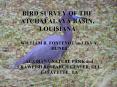 BIRD SURVEY OF THE ATCHAFALAYA BASIN, LOUISIANA PowerPoint PPT Presentation