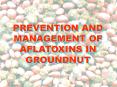 PREVENTION AND MANAGEMENT OF AFLATOXINS IN GROUNDNUT PowerPoint PPT Presentation