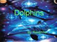 Dolphins PowerPoint PPT Presentation