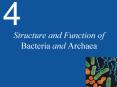 Structure and Function of Bacteria and Archaea PowerPoint PPT Presentation