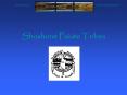 Shoshone Paiute Tribes PowerPoint PPT Presentation