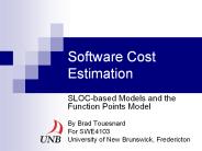 Software Cost Estimation