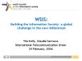 WSIS: Building the Information Society: a global challenge in the new Millennium PowerPoint PPT Presentation