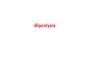 Glycolysis