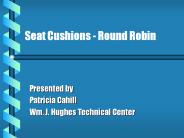 Seat Cushions - Round Robin
