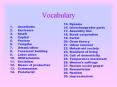 Vocabulary PowerPoint PPT Presentation