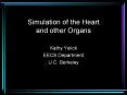 Simulation of the Heart and other Organs PowerPoint PPT Presentation