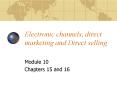 Electronic channels, direct marketing and Direct selling PowerPoint PPT Presentation