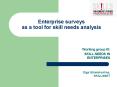 Enterprise surveys as a tool for skill needs analysis PowerPoint PPT Presentation
