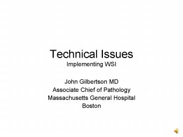 Technical Issues Implementing WSI