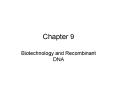 Biotechnology and Recombinant DNA PowerPoint PPT Presentation