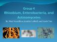 Group 4 Rhizobium, Enterobacteria, and Actinomycetes PowerPoint PPT Presentation