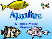By : Donnie Williams