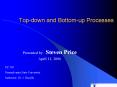 Top-down and Bottom-up Processes PowerPoint PPT Presentation