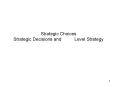 Strategic Choices Strategic Decisions and Level Strategy PowerPoint PPT Presentation