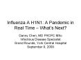 Influenza A H1N1: A Pandemic in Real Time Whats Next PowerPoint PPT Presentation