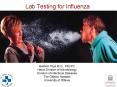 Lab Testing for Influenza PowerPoint PPT Presentation