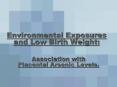 Environmental Exposures and Low Birth Weight: PowerPoint PPT Presentation