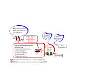 Digital Library Default Template