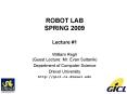 ROBOT LAB SPRING 2009 Lecture PowerPoint PPT Presentation
