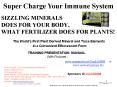 SIZZLING MINERALS DOES FOR YOUR BODY, WHAT FERTILIZER DOES FOR PLANTS PowerPoint PPT Presentation