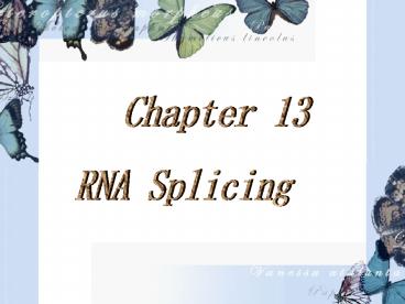 RNA Splicing