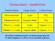 Homeostasis - metabolism
