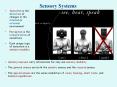 Sensory Systems PowerPoint PPT Presentation