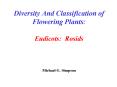 Diversity And Classification of Flowering Plants: Eudicots: Rosids Michael G' Simpson PowerPoint PPT Presentation