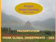THINK GLOBAL INVESTMENTS USA PowerPoint PPT Presentation