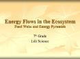 Energy Flows in the Ecosystem Food Webs and Energy Pyramids PowerPoint PPT Presentation