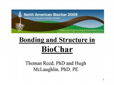 Bonding and Structure in BioChar