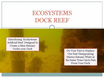 ECOSYSTEMS DOCK REEF