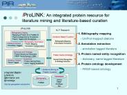 iProLINK: An integrated protein resource for literature mining and literaturebased curation