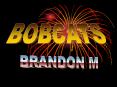 Bobcats PowerPoint PPT Presentation