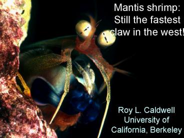 Roy L. Caldwell University of California, Berkeley