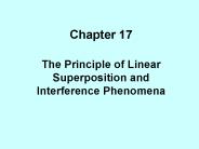 The Principle of Linear Superposition and Interference Phenomena