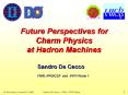 Future Perspectives for Charm Physics at Hadron Machines PowerPoint PPT Presentation