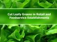 Cut Leafy Greens in Retail and Foodservice Establishments PowerPoint PPT Presentation
