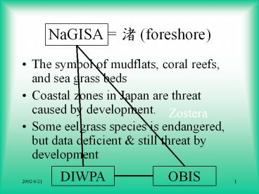 NaGISA foreshore