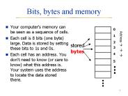 Bits, bytes and memory